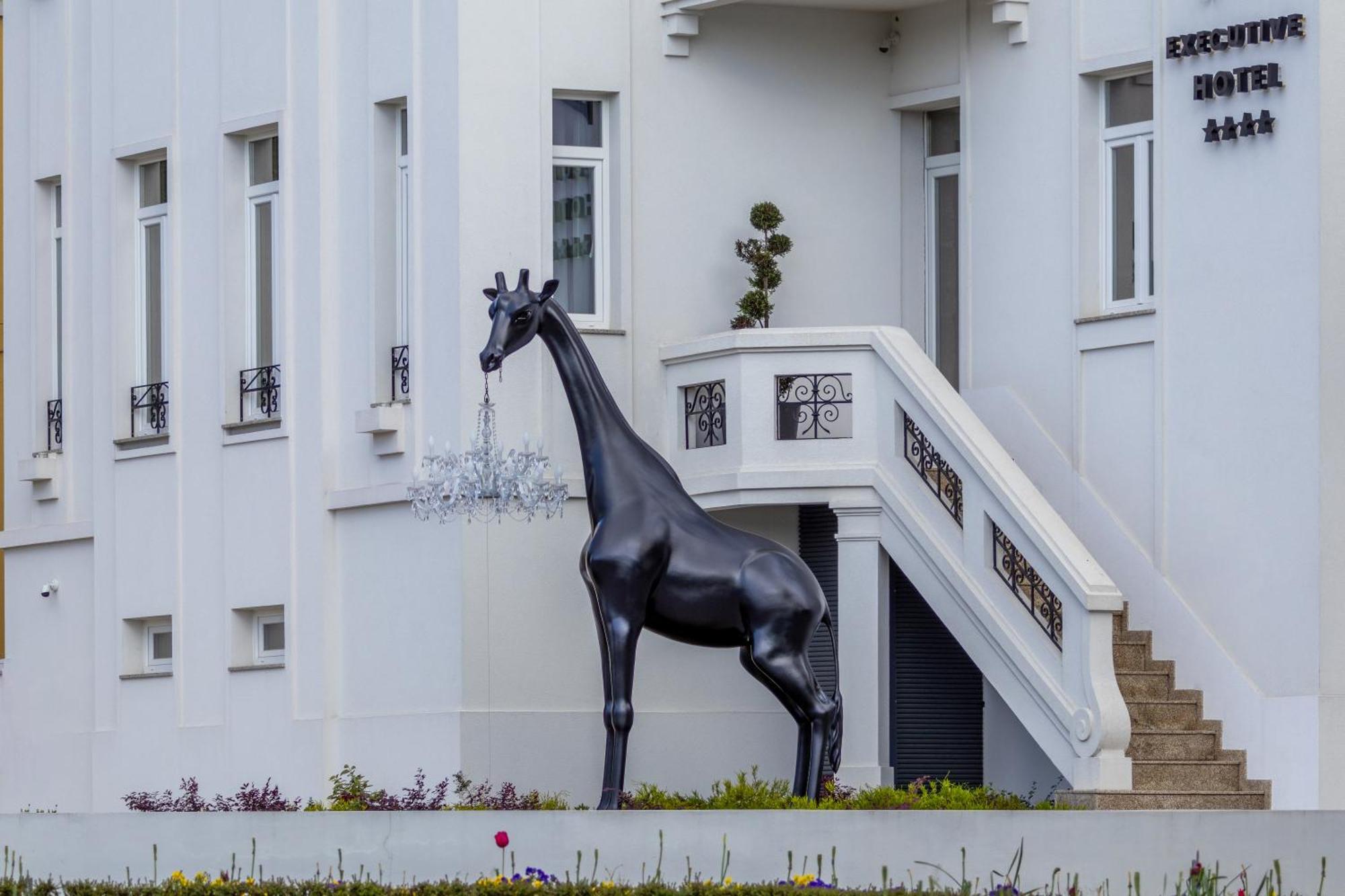 Viseu Executive Hotel Екстериор снимка
