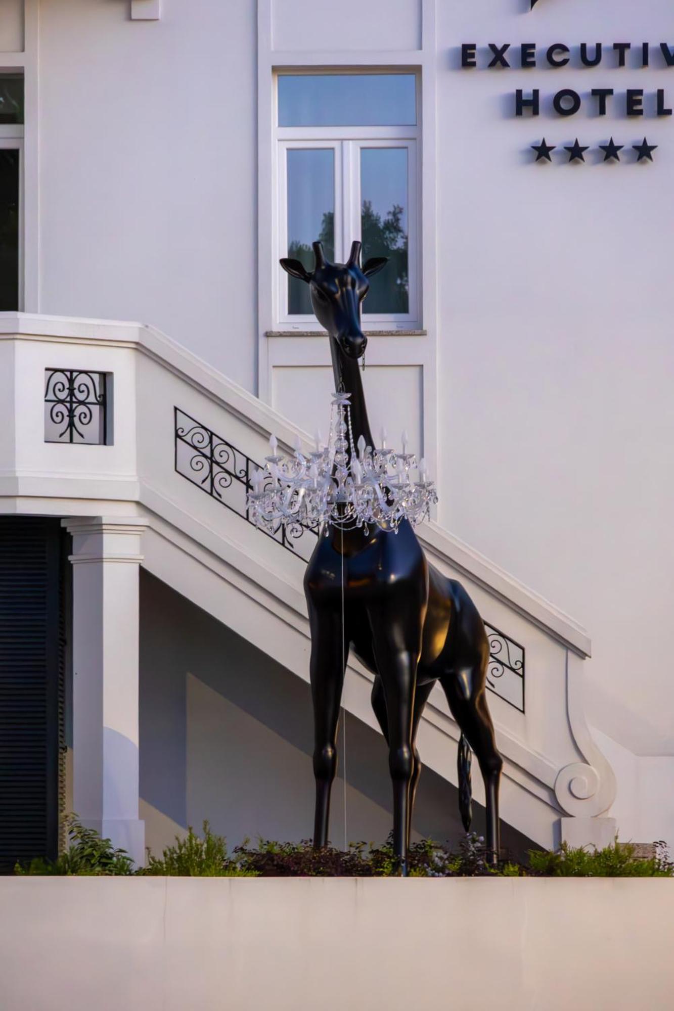 Viseu Executive Hotel Екстериор снимка