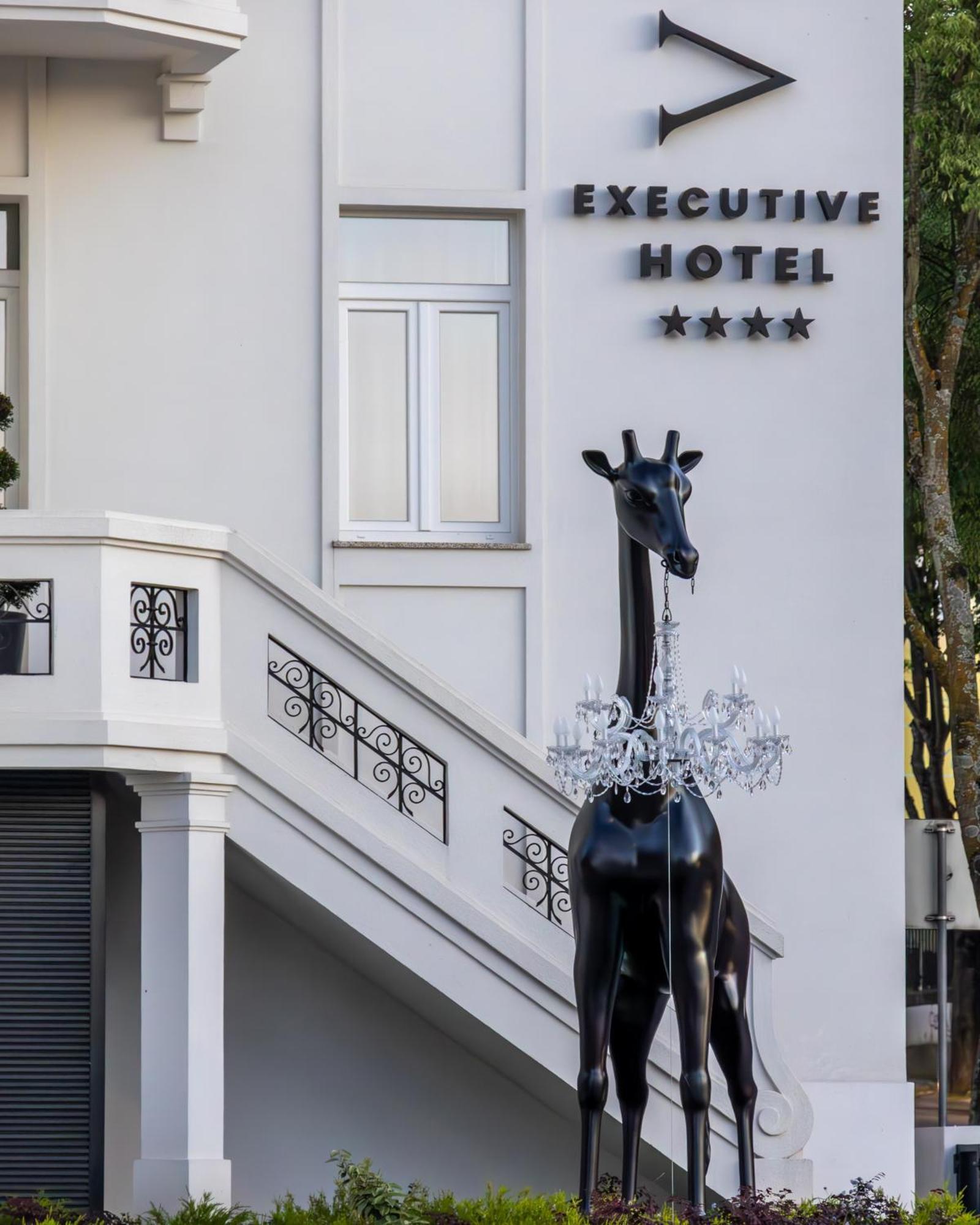 Viseu Executive Hotel Екстериор снимка